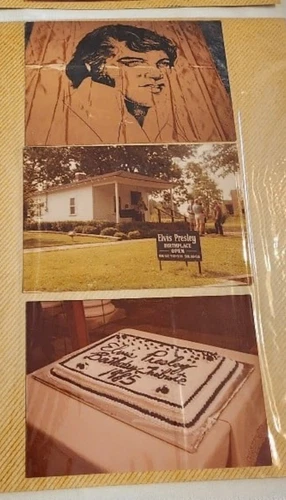 Elvis Presley Authentic Photographs- RARE- FUNERAL, NIXON, HOME-set of 21 - Picture 12 of 12