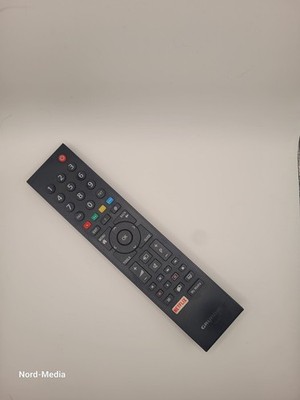 Original Sony TS1187R-5 Fernbedienung TV Remote Control geprüft