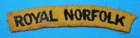 WW2 ERA ROYAL NORFOLK REGIMENT SHOULDER TITLE UK MILITARY PATCH CLOTH BADGE