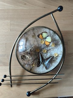 Vintage 50er/60er Jahre Schmetterlings Diorama Wandbild | Mid Century Rockabilly