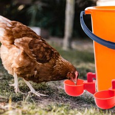 6 x Automatic Water Drinking Cups Red Plastic For Chickens/Pigeons/Birds/Quail