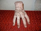 Foto 3 di 5