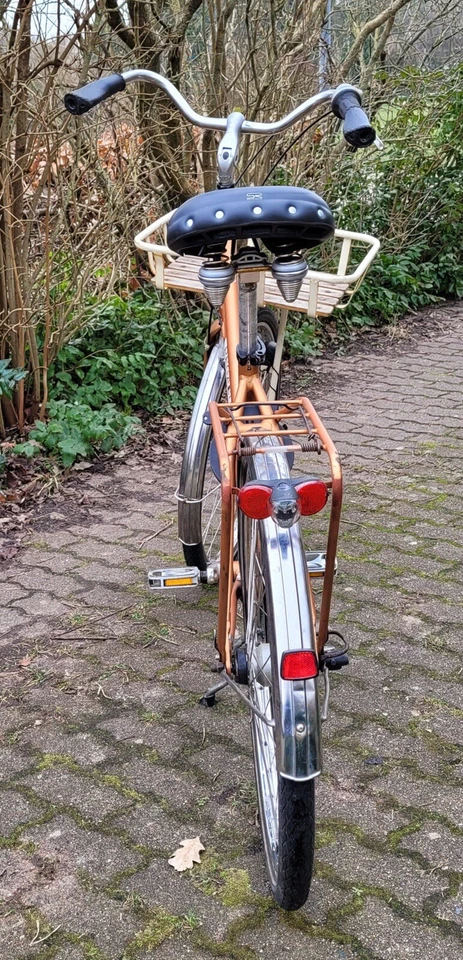 28 Zoll Pegasus Cargo, SRAM 7 Gang,Shimano Nabendynamo, LED —Licht - Bild 2 von 4