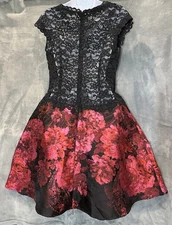 Teri Jon Rickie Freeman Black Lace Illusion Red Floral Dress Sz 6