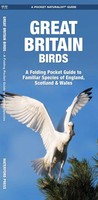 Great Britain Birds, 2Nd Ed | James Kavanagh | Englisch | BroschüRe | Ordner
