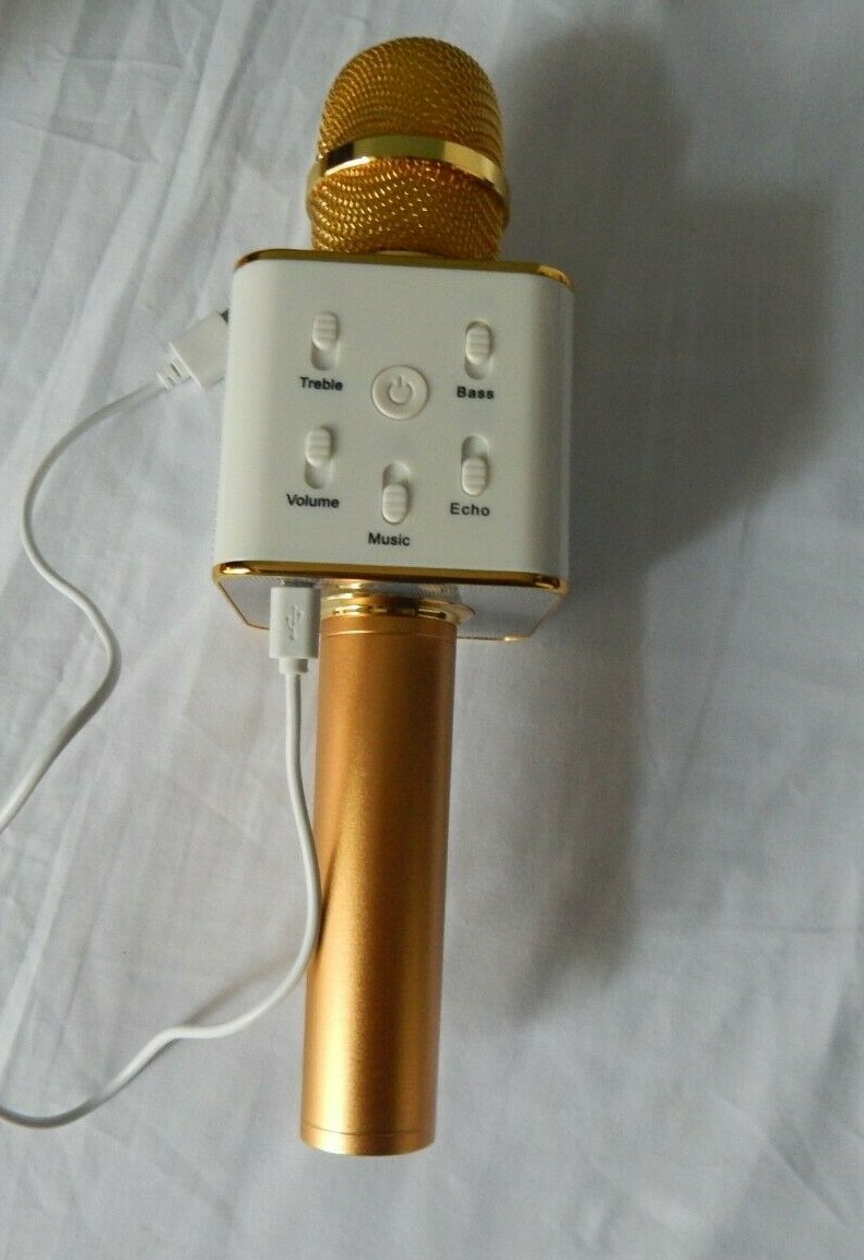 my karaoke pro microphone and speaker