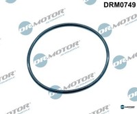 Dr.Motor Automotive DRM0749 Dichtung FüR Agr-Ventil FüR VW
