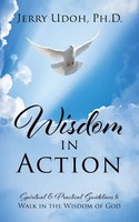 Jerry Udoh | Wisdom In Action | Taschenbuch | Englisch (2024) | Outskirts Press
