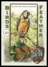 2021 Topps Allen & Ginter #BOF-4 Blue-and-Gold Macaw Birds of a Feather