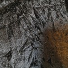 Bild 34 von 131