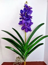 25"  Artificial vanda orchid plant BLUE