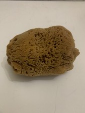 Vintage Natural Dried Sea Sponge Nautical