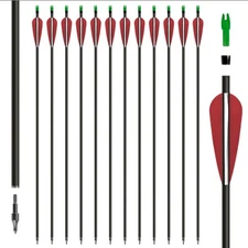 12pcs 30'' Fiberglass Practice Target Archery Arrows with Replaceable Arrowheads