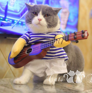 cat accessories ebay