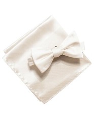 Alfani Men's Satin Solid Bow Tie  Pocket Square Set Beige