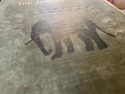 1901 Rudyard Kipling THE JUNGLE BOOK Hardcover Century Co Antique Book - Picture 12 of 12