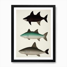 Basking Shark Vintage Poster Art Pr Framed Wall Art Poster Canvas Print Picture