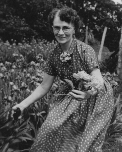 5D Photograph Pretty Older Woman Lovely Lady Cutting Flowers Garden 1950's  - Picture 1 of 3