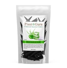 60 Jumbo Charcoal Incense Cones  2" BACKFLOW Bulk Waterfall Burner Holder Censer