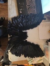 Claires Black Feathered Angel Wings