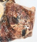 Cab Cutting Rough - Lizardstone - Brecciated Jasper - Candy Onyx- Large Pieces — photo 10