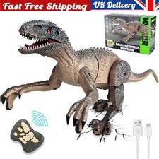 Remote Control Dinosaur for Kids Boys Girls 2.4G Electronic RC Toys Educational