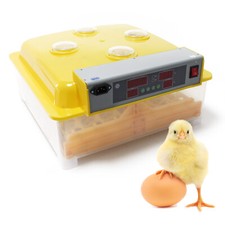 Couveuse automatique 48 oeufs Appareil Couver Incubateur 4 fenêtres Surveillance