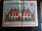 ASTON VILLA   LARGE SPORTS ARGUS  COLOURED POSTER 1980 ?  16" x 12"