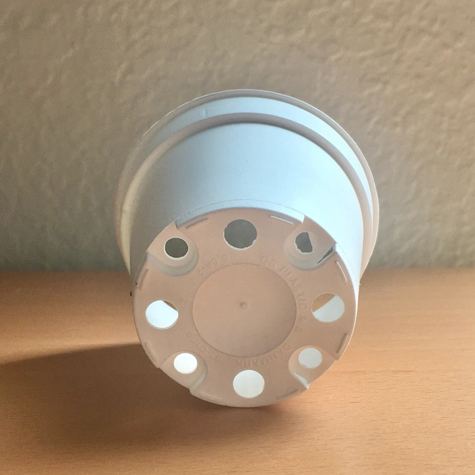 Ollas de plástico blanco violeta africano y suculentas de 2 1/8 pulgadas - Cantidad 50 Foto 3 de 3