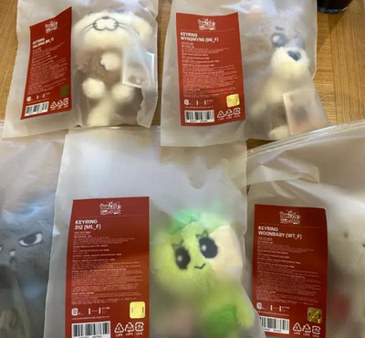 Boynextdoor BBNEXDO Pop-Up Plush Doll Keyring Kpop Official MD Unopened