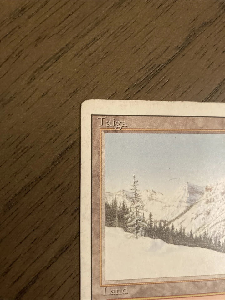 1x Taiga MTG **LP/MP (Revised, English) - Image 3 of 4