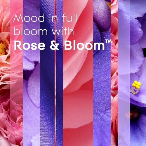Glade ROSE & BLOOM Noten Wildrose & Veilchen Plugins Nachfüllpack Lufterfrischer - 12 Stück - Bild 4 von 11