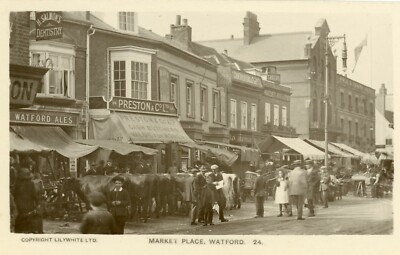 Watford geschäftige Szene auf Marktplatz mit Vieh vor Preston's Butchers!