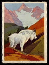 National Wildlife Federation Stamp - 1952 MNH - Mountain Goat