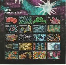USPS Sheet of 20 SELF ADHESIVE LIFE MAGNIFIED STAMPS 1 ounce letter rate from OK