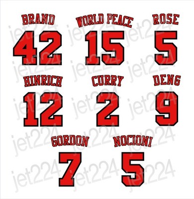 Chicago Bulls STICKER DECAL 2000's decade stars