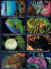 GIAN - Themenreihe "Das Atoll Und Seine Bewohner" 11 Neue Kärtchen Komplett