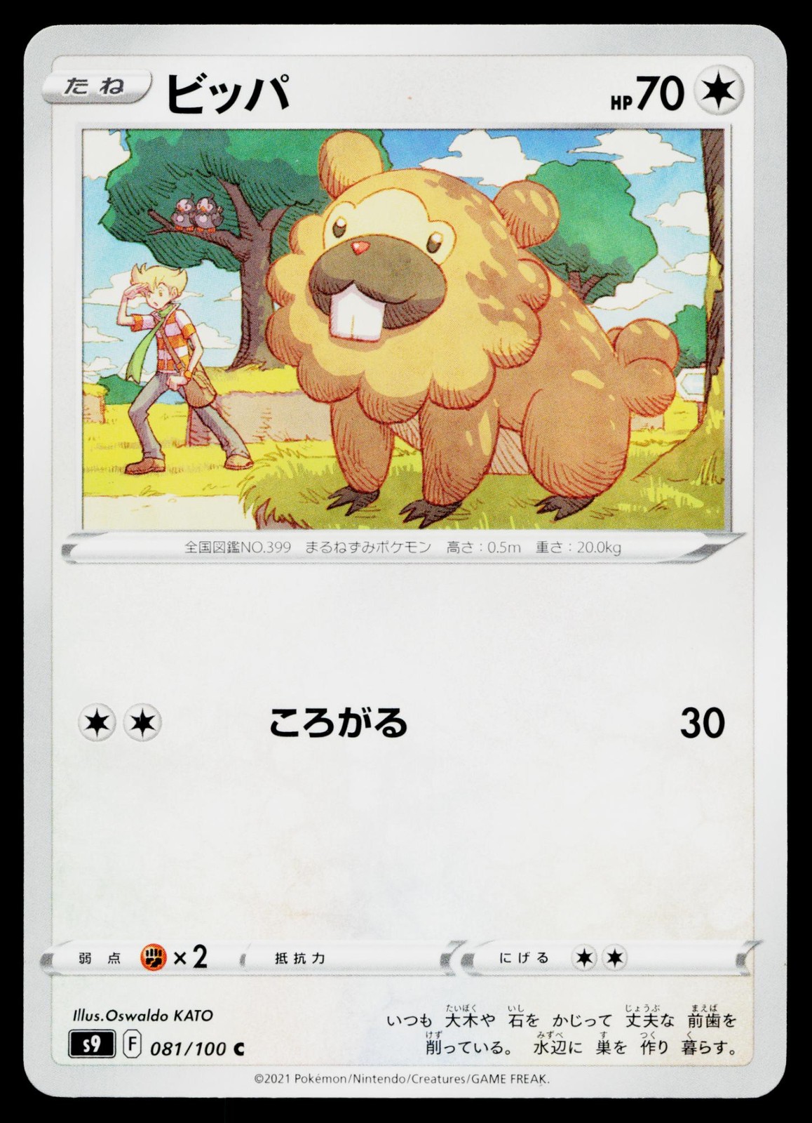 Bidoof 081/100 Common Star Birth Pokemon Japanese Lightly Played