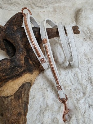 Staffordshire Bullterrier Show Halsband Leine Set weiß Kroko Patent Rosegold