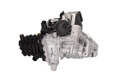 Entgiftungs-Modul (Komplett-Teil) für Citroen C4 9807593080