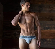 C-IN2 Core Sport Brief Grey Heather "Large" K-24