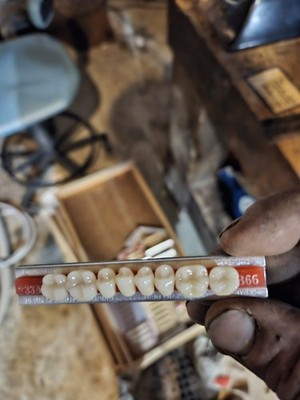 False Teeth Set Acrylic Resin 233M 366 Natural Shade White Artificial