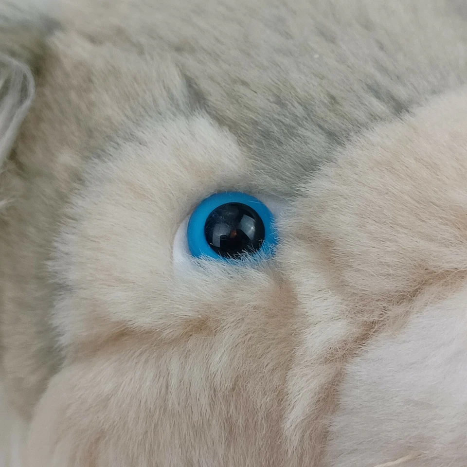 Peluche Walt Disney High School Musical Gris Gato Salvaje Mascota 13" Foto 2 de 4