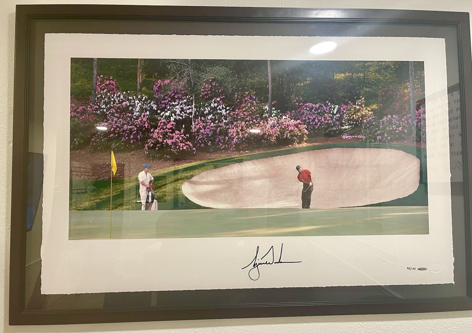 Tiger Woods Autographed Signed Azalea Hole 40X30...framed And Professionally Matted. 