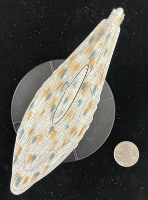 Star Wars Miniatures Starship Battles MON CALAMARI STAR DEFENDER