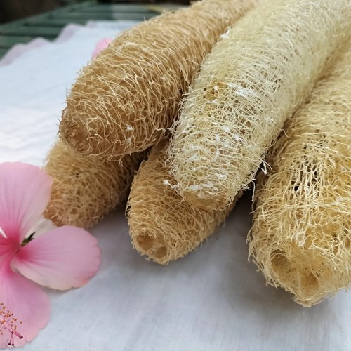 Natürliche Luffa Schwämme 15er Set - Getrockneter Schwamm Kürbis Luffa KOSTENLOSER VERSAND Badebürste