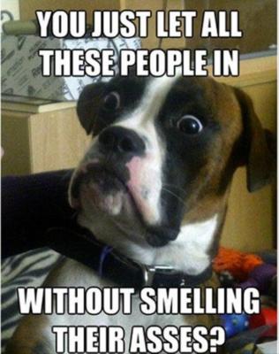 Funny Dog Boxer  Refrigerator / Tool  Box / Locker  Magnet