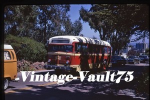 ORIGINAL SLIDE BUS WHITE 060 MUNI SFMR SAN FRANCISCO CA KODACHROME 1971