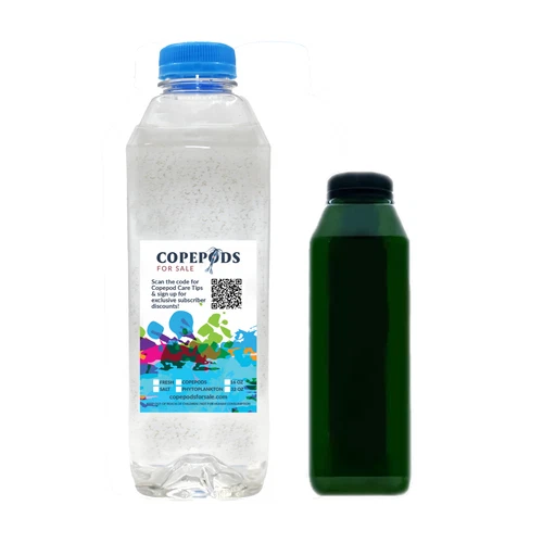 32oz Daphnia + 16oz Phyto – Fresh Food for Fish, Fry & Reptiles – Free Ship