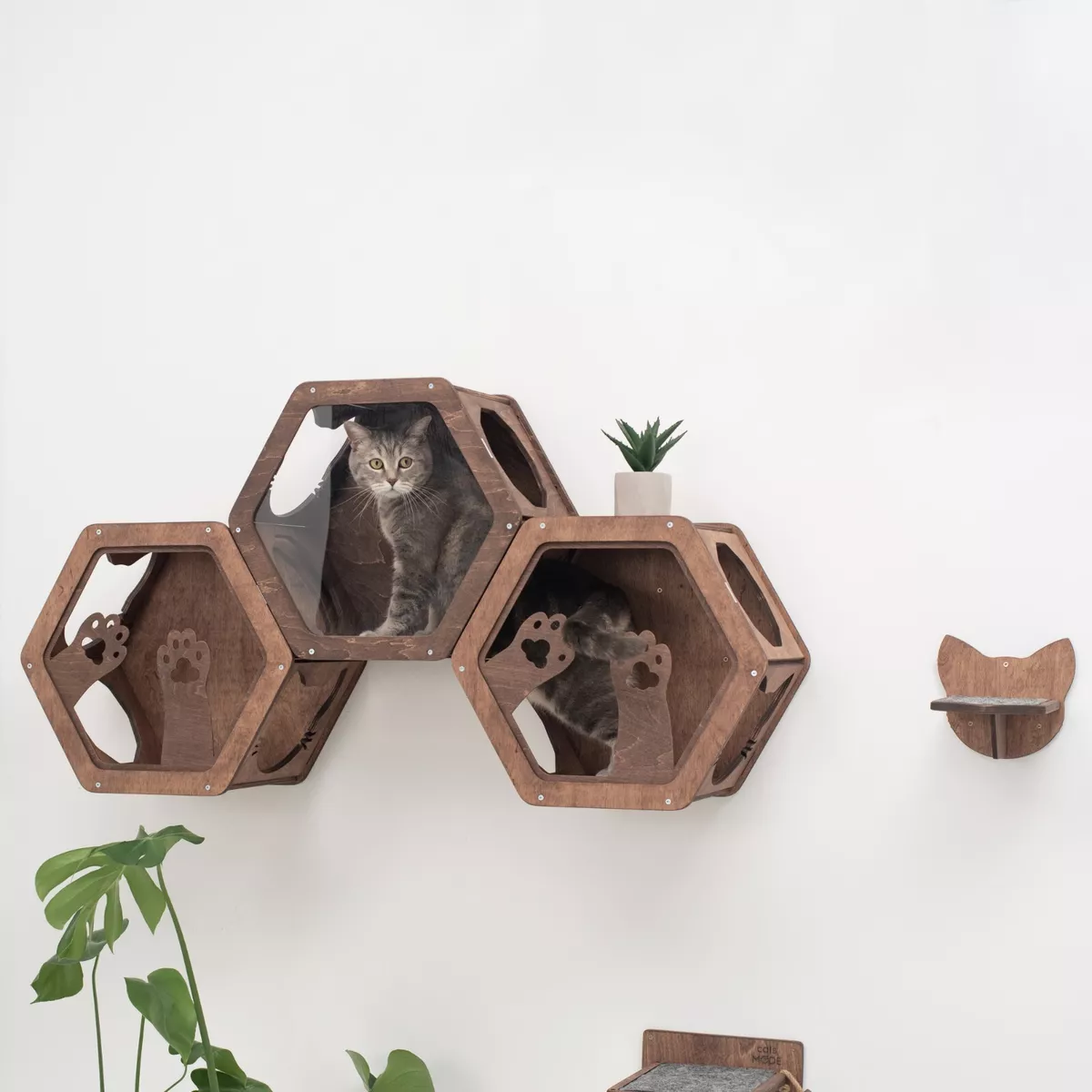 Hexagon cat cheap shelf